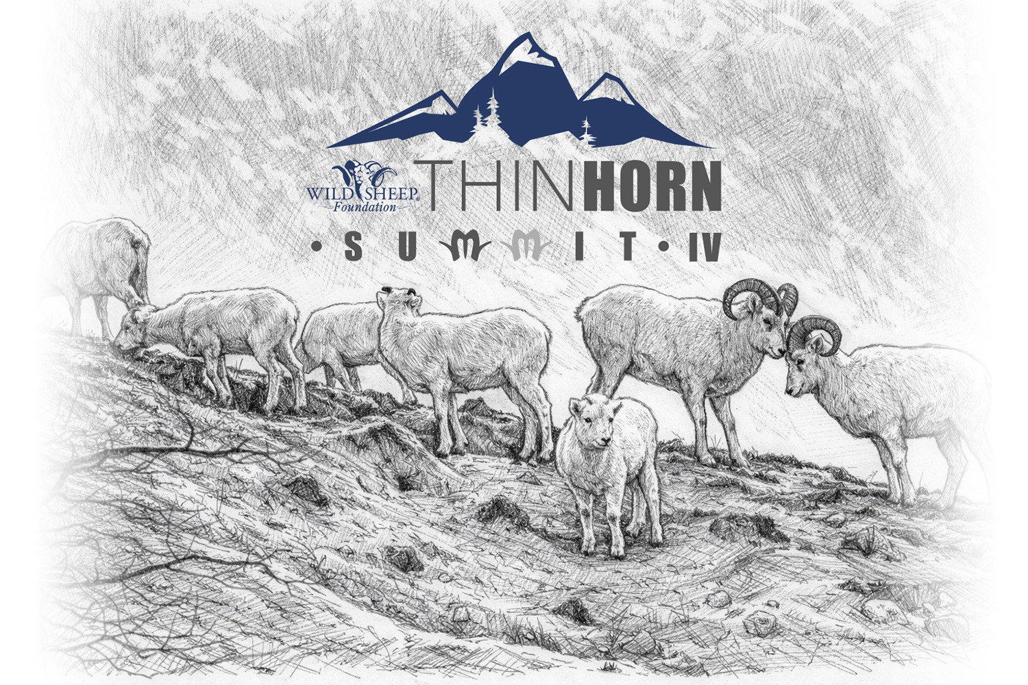 Thinhorn Sheep Summit IV